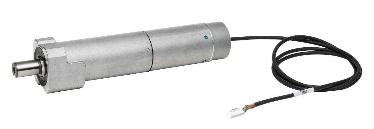 The Shape of Things to Come